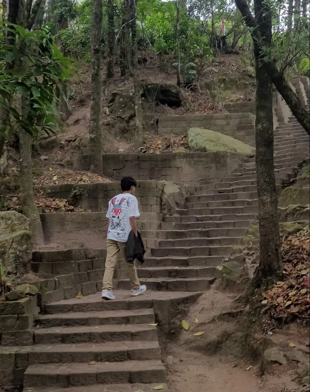 Young person walking up stone steps in a forest, symbolizing the journey of personal growth and exploration.