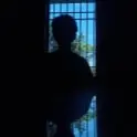 Silhouette of a person sitting by a window with bars, with a reflection below and a view of trees and a blue sky in the background.